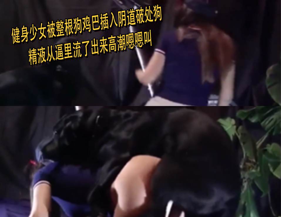 健身少女被整根狗鸡巴插入阴道破处狗精液从逼里流了出来高潮嗯嗯叫 海报