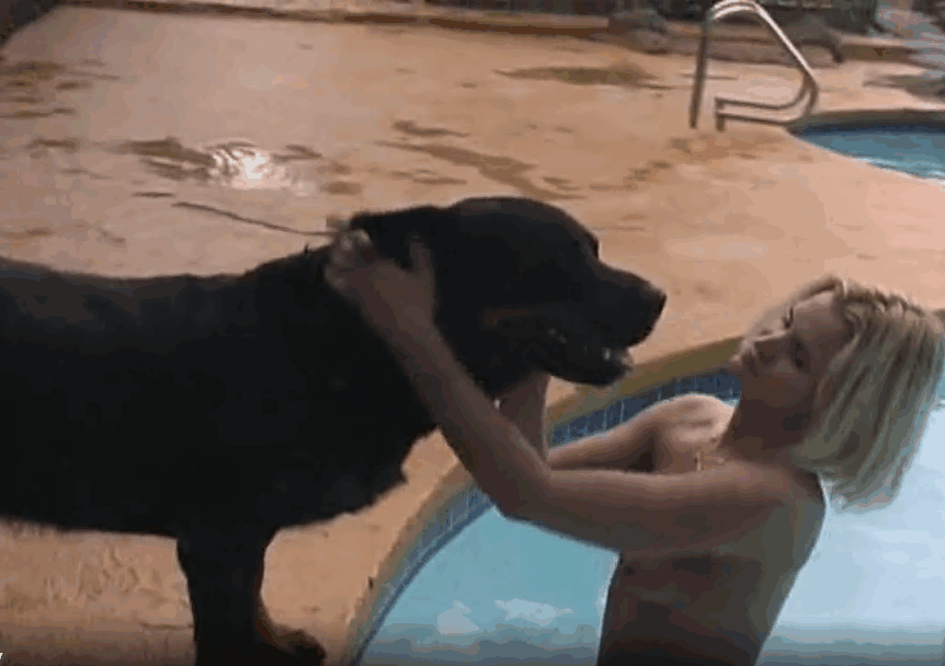 罗威纳犬在安静的地方与性感金发女主人做爱 海报