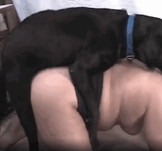 性欲旺盛的业余妻子弯下腰和她的狗做爱 海报
