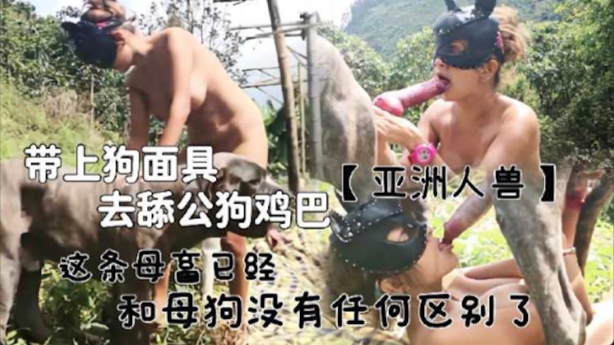【国产人兽】带上狗面具去舔公狗鸡巴这个荡妇已经和母狗没有任何区别了 海报