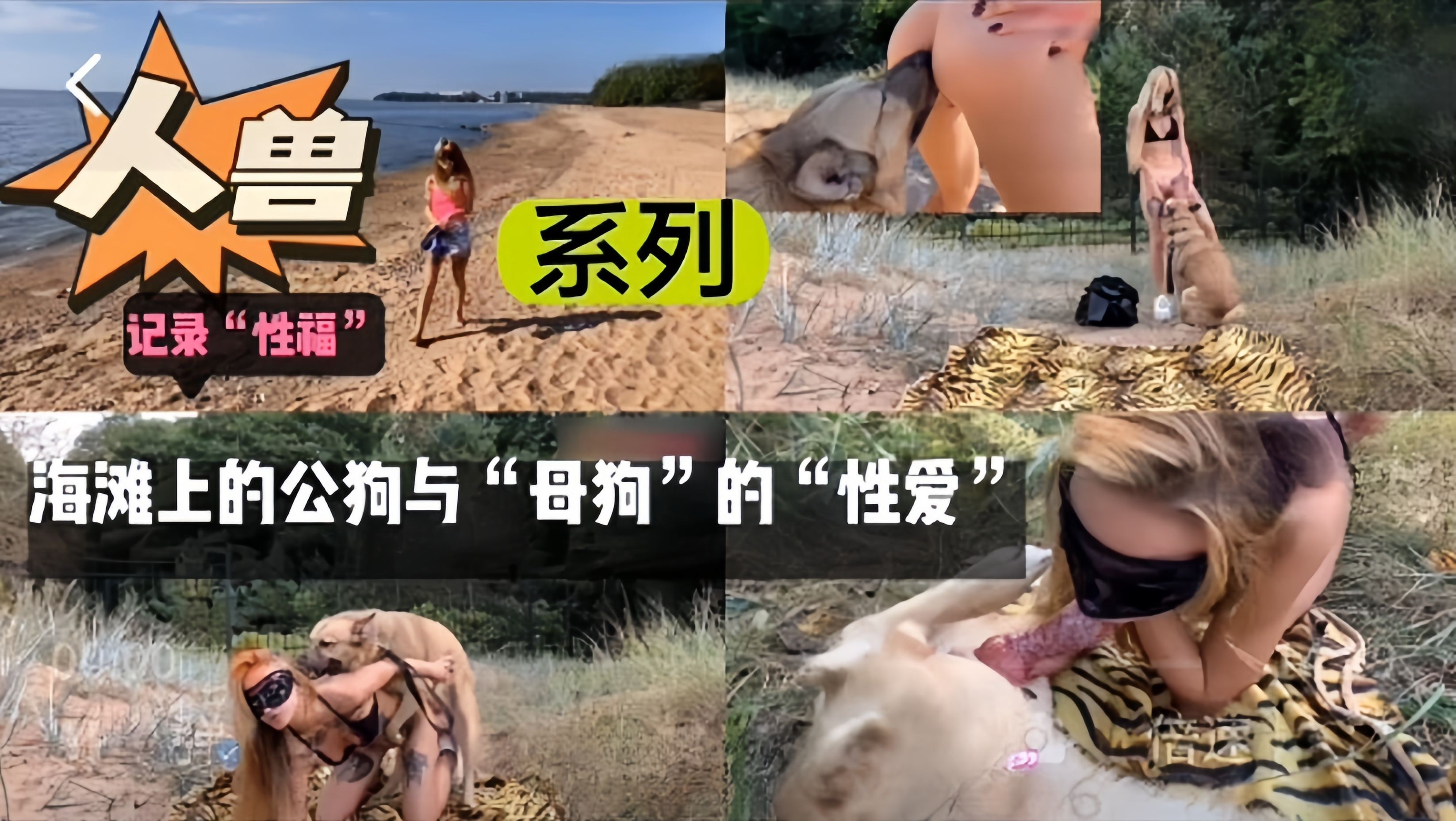 海滩上的公狗与母狗的性爱 海报