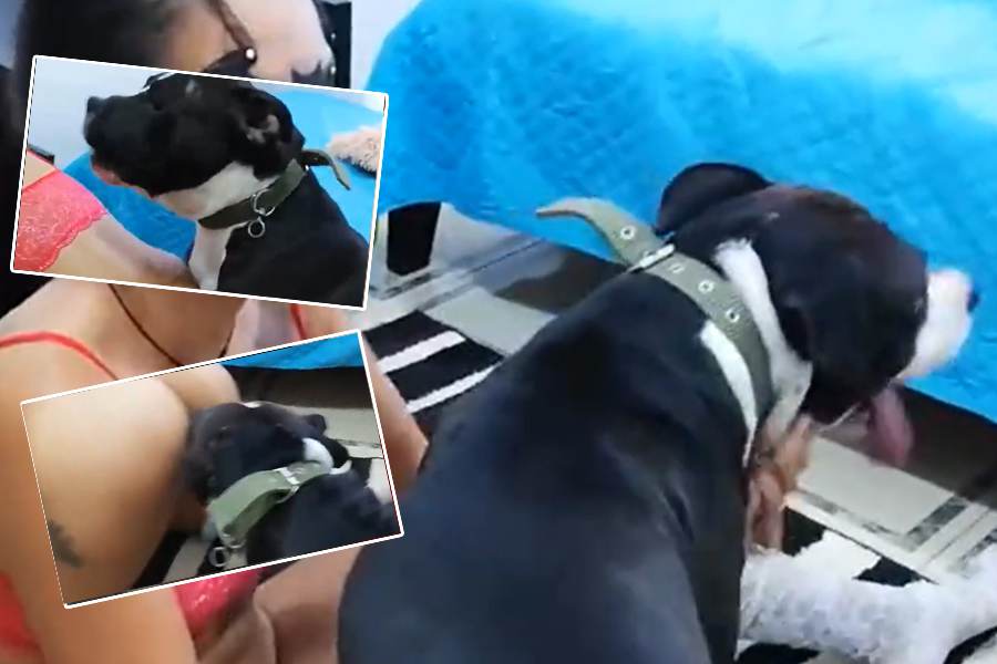 人狗受精01少女不顾全家人反对执意跟爱狗犬交配 海报
