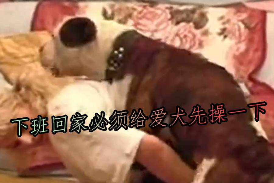 【人兽】下班回家必须给爱犬先操一下 海报