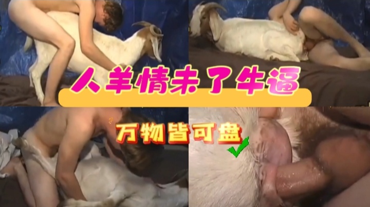 人羊情未了万物皆可盘牛逼 海报