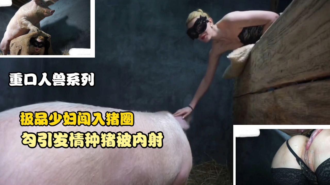 【重口人兽系列】极品少妇闯入猪圈勾引发情种猪被内射 海报