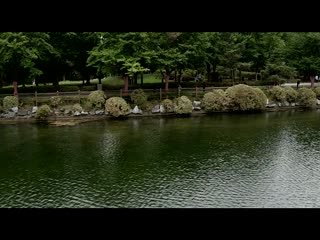 年轻的妻子. 海报