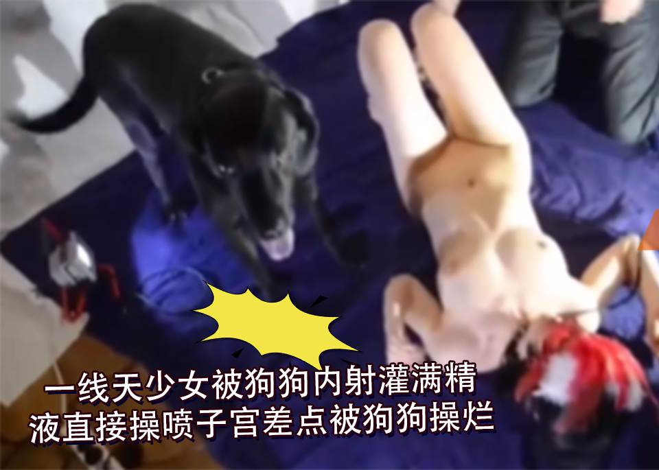一线天少女被狗狗内射灌满精液直接操喷子宫差点被狗狗操烂 海报