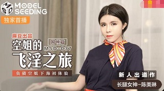 【果冻】空姐的兼职-萧蔷 海报