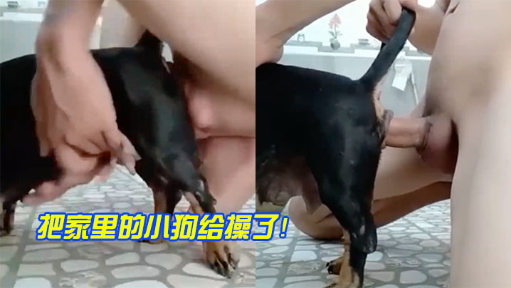 把家里的小狗给操了！ 海报